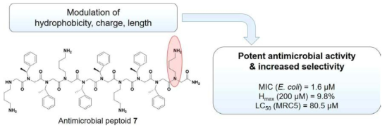 높은 항균 활성과 선택성을 높이는 펩토이드 개발