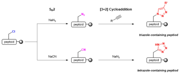 본 연구진에서 개발한 triazole/tetrazole-containing 펩토이드 합성법