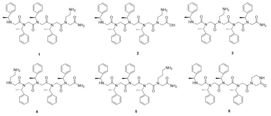 C말단 고리화 반응의 메카니즘 규명을 위한 펩토이드 분자 설계