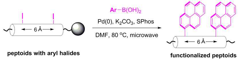 펩토이드 잔기에 C-C 커플링 반응을 위한 고체상 palladium 촉매 Suzuki 커플링 반응