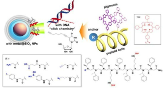 염료-펩토이드 구조의 정착기 다양화를 통한 나노 구조체와 결합