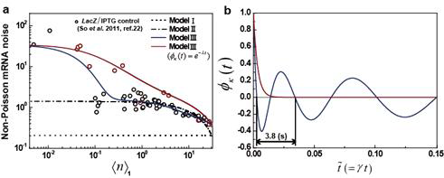 a. 전사모델 Model I-III과 실험 결과와의 비교. 유전자 전사과정 속도를 언제나 상수로 가정하는 Model I에 비해 Repressor로 인한 유전자 상태의 변화를 고려한 Model II가 향상된 실험 해석을 준다. 그러나 Repressor와 결합하지 않은 유전자의 전사과정 속도k를 상수로 간주하는 Model II는 실험결과를 정량적으로 설명하지 못한다. k를 확률변수로 간주하는 Model III는 실험결과를 잘 설명해 준다. 붉은 색 데이터는 세포의 분열주기가 45분 이상으로 느린 경우의 데이터이고 검은색 데이터는 세포 분열주기가 45분 이하인 경우에 얻어진 데이터이다. b. (파란선) 전체 실험 데이터에서 추출된 유전자 전사속도계수 k의 시간상관함수 (time correlation function) (붉은선) 세포 분열 주기가 45분 이하인 세포들에서 얻은 데이터에서 추출된 k의 시간상관함수