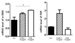CTHRC-1에 의한 췌장성상세포 내 활성화 인자들의 발현양 변화