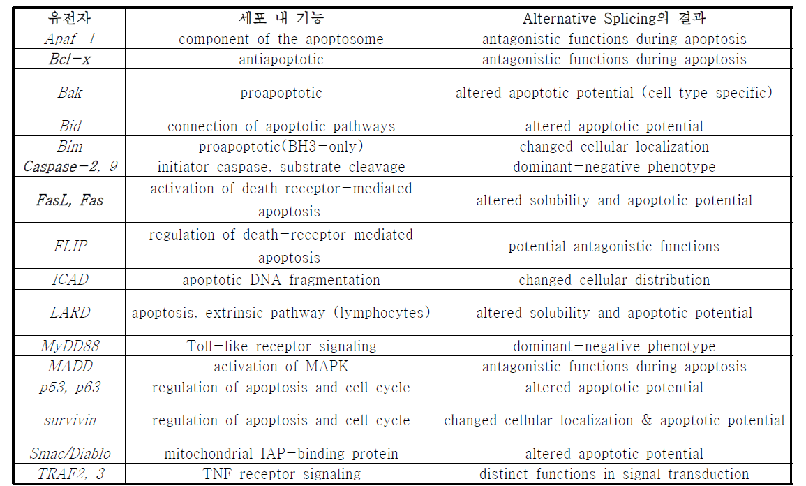 Apoptosis 유전자들의 alternative splicing 사례