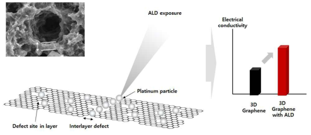 원자층증착법을 이용한 그래핀 경계 결함 치유에 따른 전기적 특성 증진