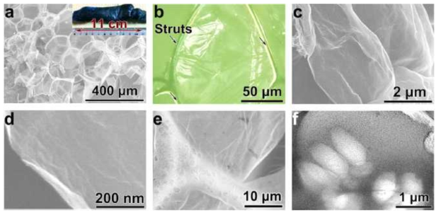 암모늄에 기반한 폼 형성 반응을 통한 Struted Graphene (SG)의 SEM 이미지