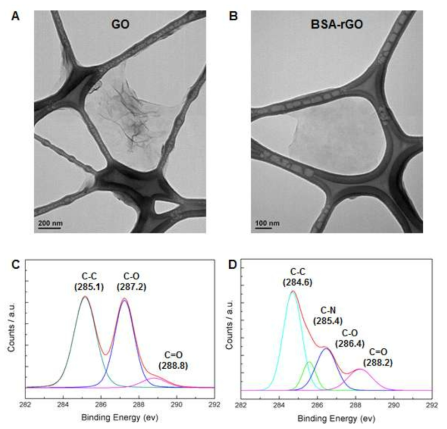 BSA-functionalized rGO 나노시트의 TEM 분석