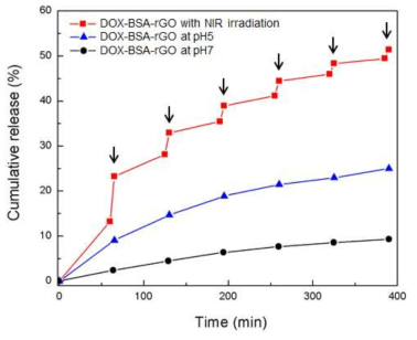 BSA-functionalized rGO 나노시트로부터 항암제(DOX) 약물방출 분석