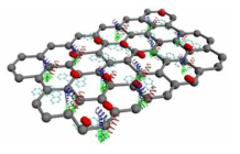 BSA-functionalized 지능형 reduced graphene oxide 나노 sheet 개발