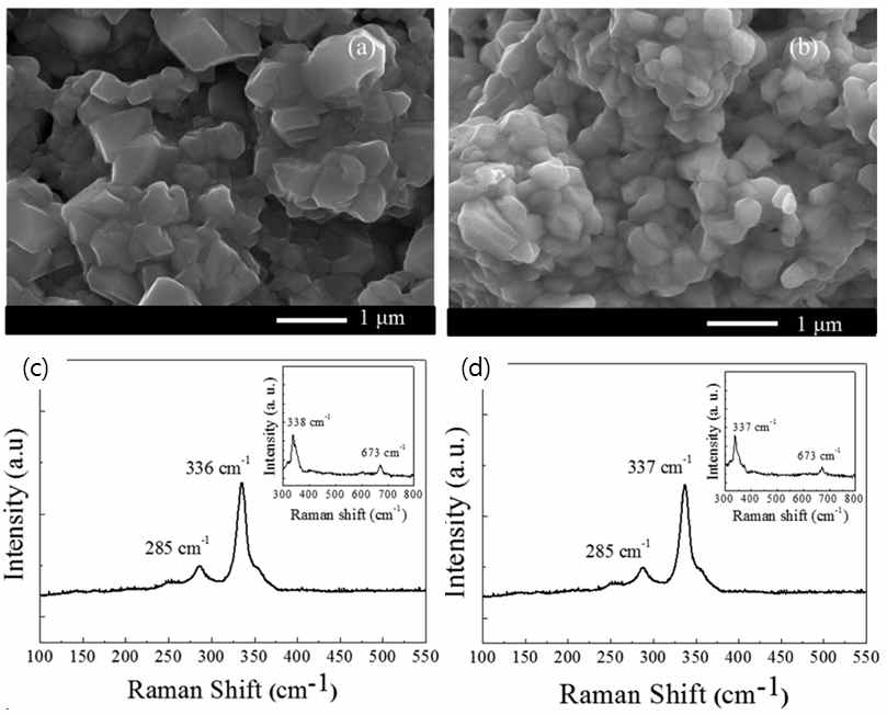 CBD 방법으로 SLG/SnS/CuS/ZnS (a, c) 과 SLG/ZnS/CuS/SnS (b, d) 제작하고 후열 처리하여서 만든 CZTS 박막의 SEM 이미지와 Raman spectrum 측정결과 (T. R. Rana, N. M. Shinde, JunHo Kim, Materials Letters 162, 40, 2016)