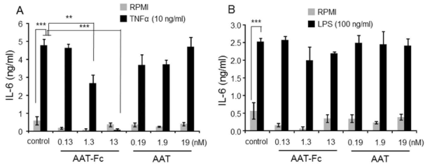 Dose-dependent suppression of TNFα-induced IL-6 production in human PBMCs. (A) AAT-Fc inhibited TNFα-induced IL-6 production in a dose-dependent manner, and AATFc used at a concentration of 13 nmol/L abolished IL-6 production completely. However, the same concentration of plasma-derived AAT has no effect on IL-6 induction. (B) Unlike the effects of AAT on TNFα-induced IL-6 production, both AAT-Fc and AAT failed to suppress LPS-induced IL-6 production. The mean ± SEM values of three independent experiments have been shown. **p < 0.01; ***p < 0.001 (n = 3 per group)