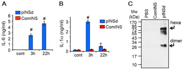 Detection of a common motif in both IL-1and pINS. IL-6 levels in the supernatant of A549 cells treated with pINSd were increased by prolonged incubation (A), but IL-1levels were decreased with prolonged incubation (B) as measured by the IL-1ELISA kit described under “