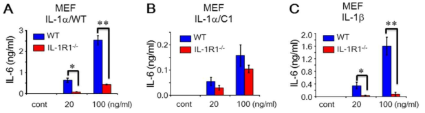 IL-1/WT and /C1 activity with MEFs of IL-1R1-deficient mice. A–C, the MEF cells of WT and IL-1R-deficient mice were treated with IL-1/WT, IL-1/C1, and IL-1for IL-6 production. Data in A–C are comparisons of WT and IL-1R1-deficient mice. Data are meanS.E. (error bars). *, p<0.05; **, p0.01 from duplicates. cont, control
