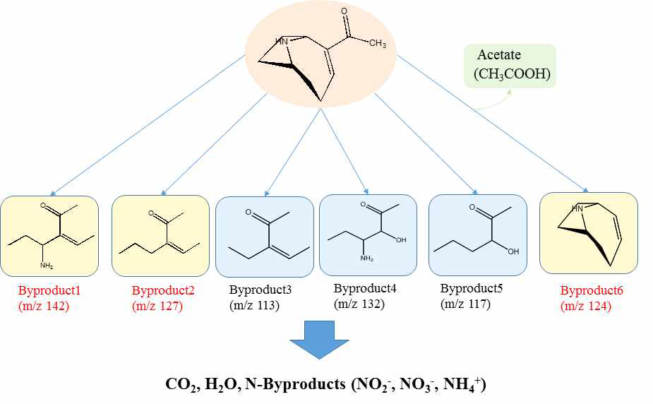 UV/H2O2 공정에서의 Anatoxin-a 분해부산물 molecular structure