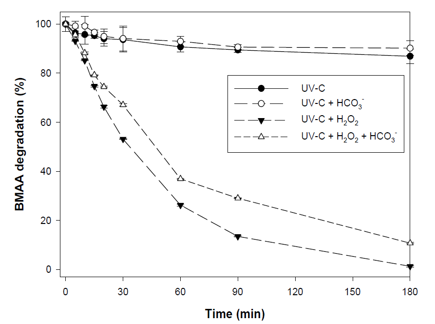 BMAA의 제거율에 미치는 OH radical scavenger의 영향