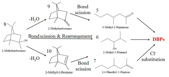 UV/Cl2 반응에서 2-MIB의 분해 경로 ([2-MIB]0 = 5 ppb, [Cl2] = 0.5 ppm, UV-Cintensity : 3.2 mW/cm2, pH = 7)