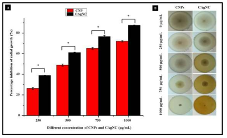 Comparison of the effect of CNPs and CAgNC on mycelial radial growth of F.