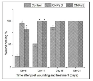 Comparison of wound healing percentage (%) of CNPs direct and