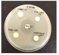 Comparison of antibacterial activity of ampicillin -loaded (encapsulated) CNPs against fish