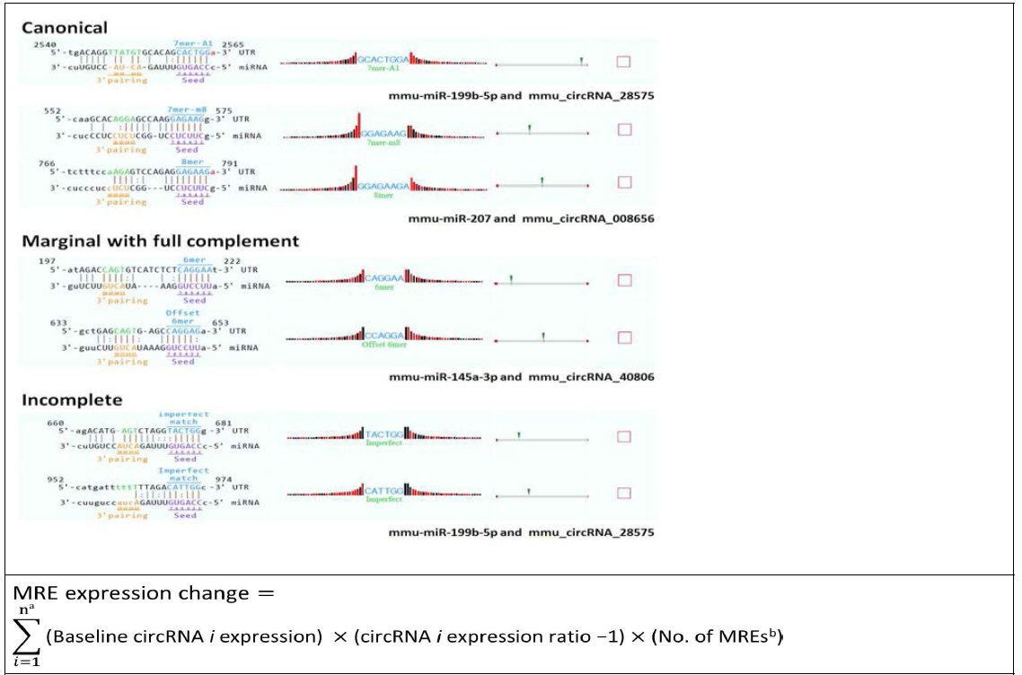 Target miRNA에 대한 MRE category 분류 (상) 및 target miRNA에 대한 MRE의 양 변화 계산(하)