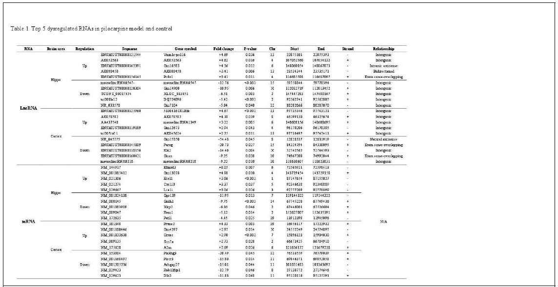 Pilocarpine 뇌전증 모델의 피질 및 해마에서 가장 크게 발현 조절 (dysregulation)된 lncRNA, mRNA