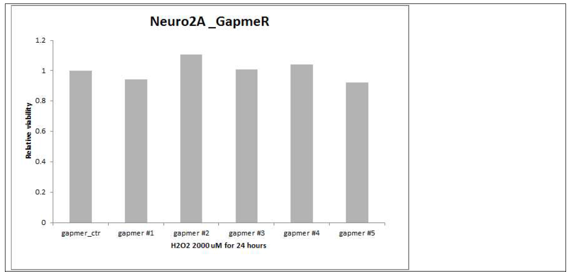 Neuro2A cell에 empty vector를 transfection 하고 24시간 뒤에 mNEAT1 GapmeR를 처리하여 NEAT1 down-regulation을 유발. 이후에 H2O2 2000 uM로 cell injury를 유발하여 relative viability를 측정함