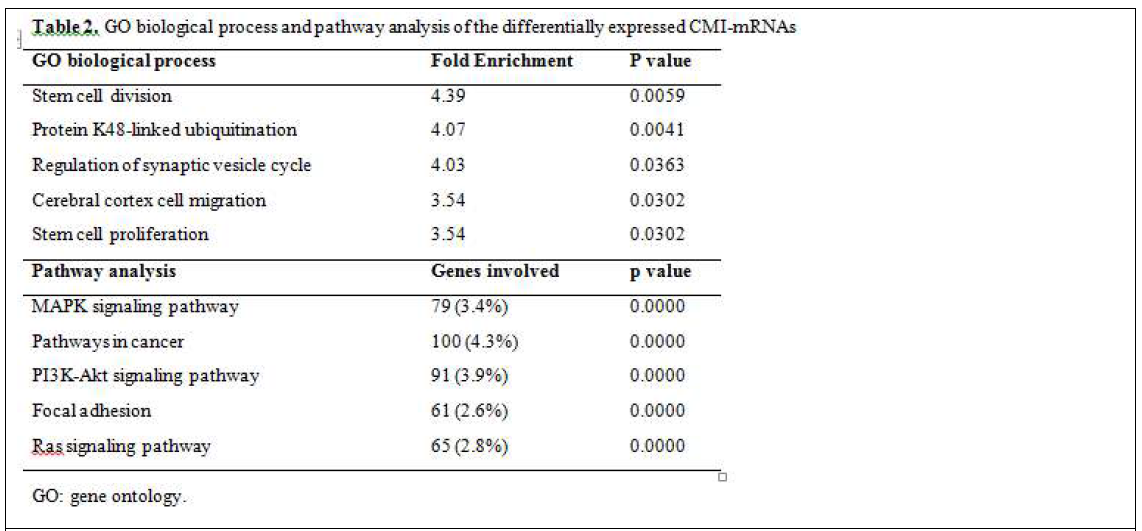 뇌전증에서 특이적으로 발현된 circRNA-miRNA-mRNA interaction에 대한 gene ontology, pathway analysis결과