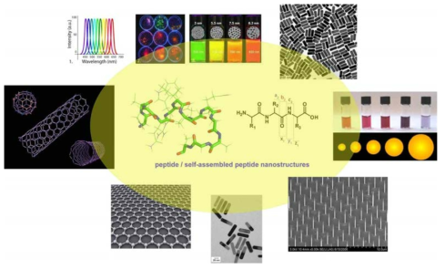 펩타이드 및 자기조립 펩타이드 기반 유-무기 하이브리드 소재의 개발