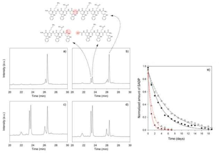 HPLC를 이용한 10 mM phosphate buffer(pH 7.4)에서 글리콜산 뎁시펩타이드의 시간에 따른 분해거동 연구, (a) 분해전, (b) 1일 후, (c) 4일 후, (d) 6일 후. (e) 글리콜산 및 젖산 뎁시펩타이드의 시간에 따른 분해거동 분석 그래프. ●=글리콜산, 25℃, ▲=글리콜산, 37℃, ○=젖산, 25℃, △=젖산, 37℃