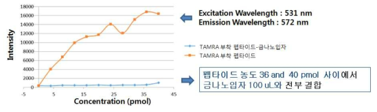 형광 강도 측정 실험을 통한 펩타이드-금나노입자 결합 비율 결정