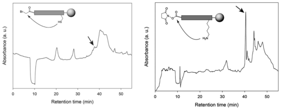 (a) 브로모 아세트산을 이용한 고리화 반응으로 형성된 고리형 펩타이드의 HPLC 데이터. (b) 사전 활성화 합성방법을 이용한 고리화 반응으로 형성된 고리형 펩타이드의 HPLC 데이터