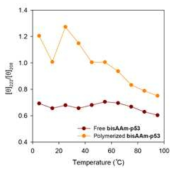 온도에 따른 bis-AAm p53와 중합 bis-AAm p53의 helicity 변화 비교