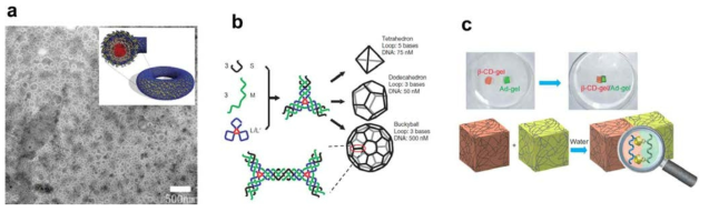 a) Toroidal nanostructure formation by block copolymer self-assembly, b) Self-assembly of DNA into supramolecular polyhedra, c) Macroscopic self-assembly through molecular recognition