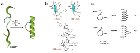 a) Peptide-stapling technology, b) hydrogen-bond surrogates, c) metal coordination approach