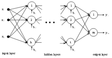 Multilayer feed-forward neural network structure
