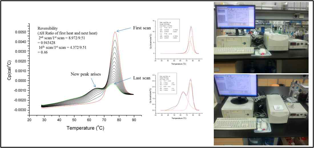 DSC 이용한 단백질 가역성 연구사례와 DSC 사진 (2012, Arc Pharm Res)