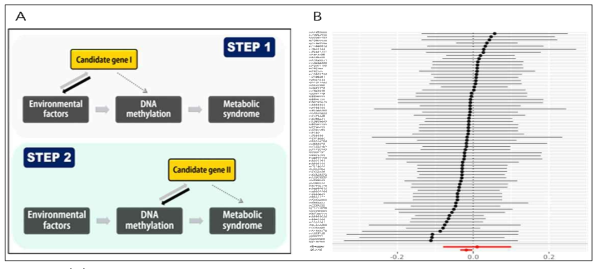 (A) Research scheme: Effect of interaction between gene and environment factors on