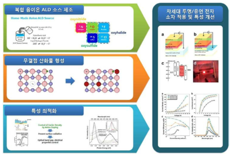 연구의 개략도