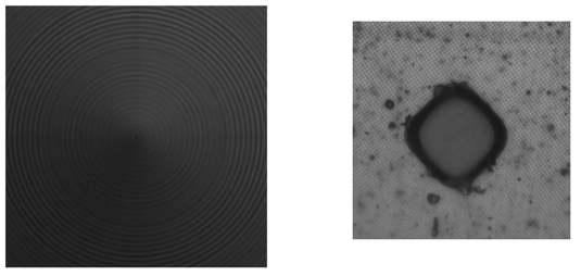 각 실험 물체의 영상 시퀀스에서 10번째 프레임 (왼쪽 : Simulated Cone, 오른쪽 : LCD-TFT 필터)