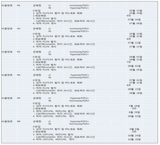 dog PDLSCs의 배양 시 Hypoxia/FGF2의 처치 효과가 치아 재이식 치주 조직 재생에 미치는 효과의 연구 일정