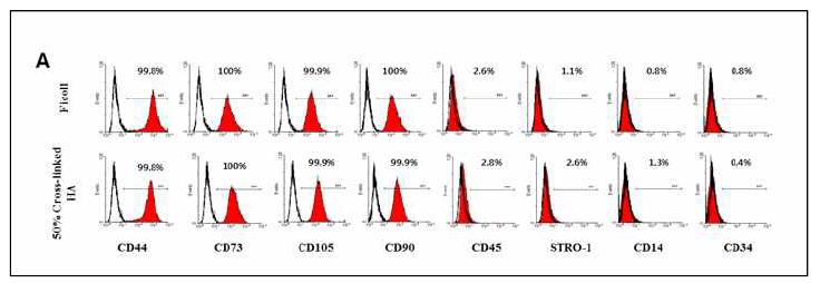두 가지 방법으로 분리된 골수 줄기세포의 FACS 분석에서 두 세포군 모두에서 양호한 mesenchymal marker들이 발현됨을 확인함