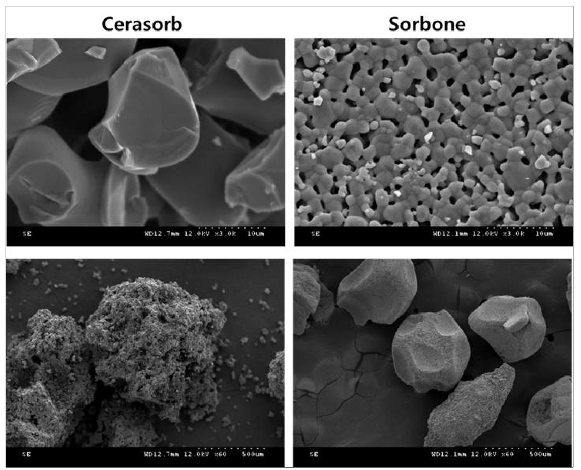 sorbone의 기질 특성 : Cerasorb와 비교하여 비교적 매끈한 표면이 관찰되나 고배율에서 2~3um의 micropore가 고르게 분포되어 있는 것을 확인할 수 있었음
