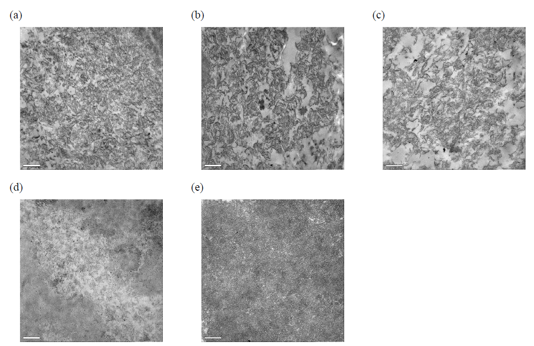 Representative TEM images (×10,000 magnitude) of starch mixture gels. (a) AS0, (b) AS25, (c) AS50, (d) AS75, (e) AS100