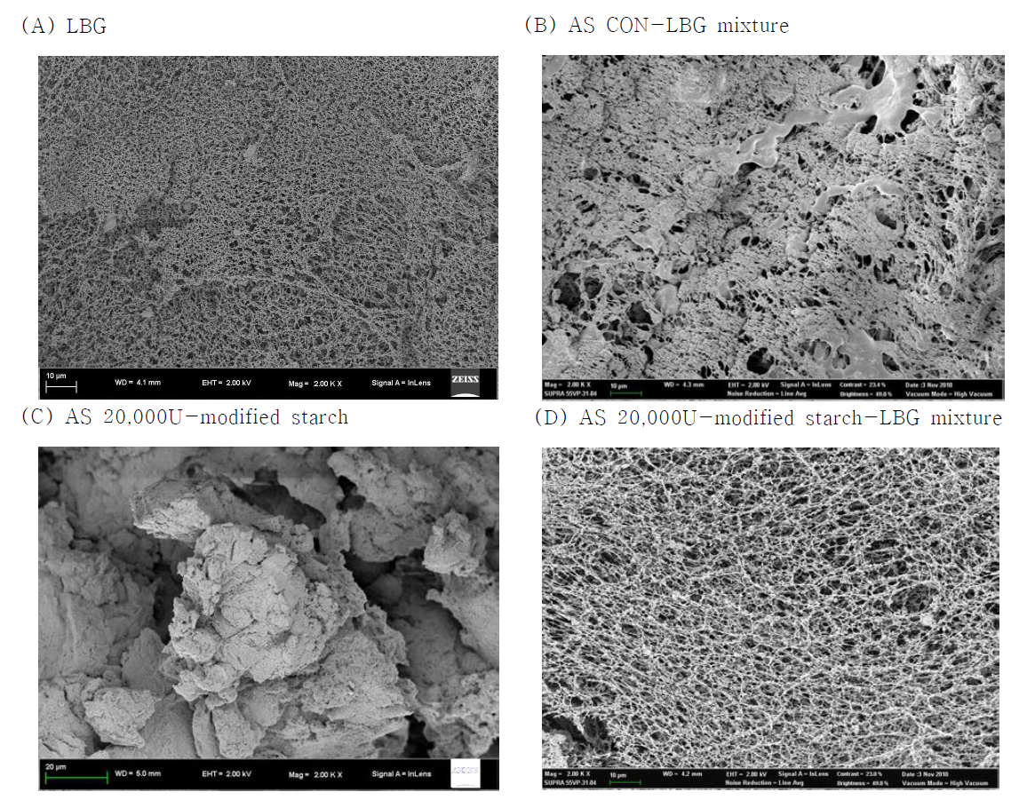 Scanning electron micrographs of gel structures from samples