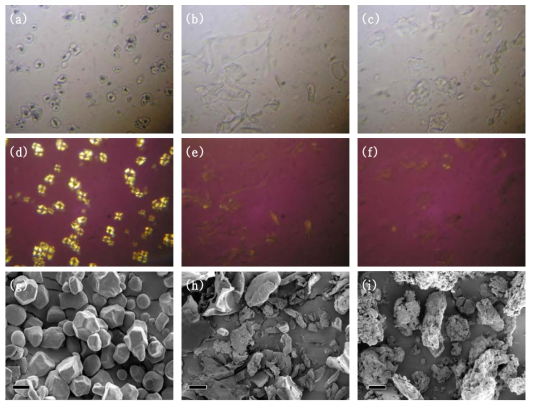 Morphological observation of starch samples by microscopy. Optical micrographs: (a)=Raw starch; (b)=Control; (c )=Amylosucrase-modified starch (6h). Polarizing micrographs: (d)=Raw starch; (e)=Control; (f)=Amylosucrase-modified starch (6h). Scanning electron micrographs: (g)=Raw starch; (h)=Control; (i)=Amylosucrase-modified starch;, Scale bar=10㎛