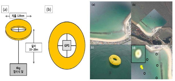 (좌) 해상 기준점 모식도. (a) 운반이 용이하도록 공기튜브를 기준점으로 사용하였으며, 해류의 움직임에 의해 표류하지 않도록 닻을 연결함 (b) 위에서 바라본 GCP 모식도, GPS모듈이 튜브 중앙에 배치되어 있음. (우) 본 연구에서 제안한 저고도 Helikite 관측시스템으로 관측한 강릉 안목해변 이미지. (a) 기하보정 전 원본 이미지 (b) 해상 지상기준점을 통해 제작한 기하보정 결과물. (c) 개발된 튜브형 해상 GCP의 설치 모습. (d) 각 GCP가 설치된 위치