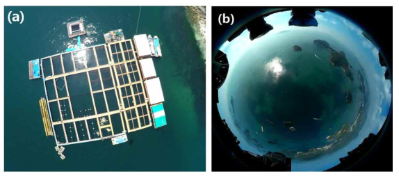 (a) 저고도 원격탐사 시스템를 통해 관측한 통영의 바다목장 기지 관측이미지. (b) 360도 카메라를 통해 관측한 바다목장 기지 인근 해역. 관측 영상은 실시간으로 지상관측부와 송수신이 가능하다