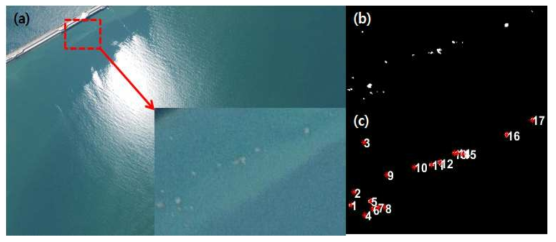 (a)해파리 군집으로 추정되는 물체가 관측된 영상이미지. (b)문턱치 처리 후 형태학적 영상처리를 통한 노이즈제거 결과. (c)추출된 해파리군집을 counting한 결과