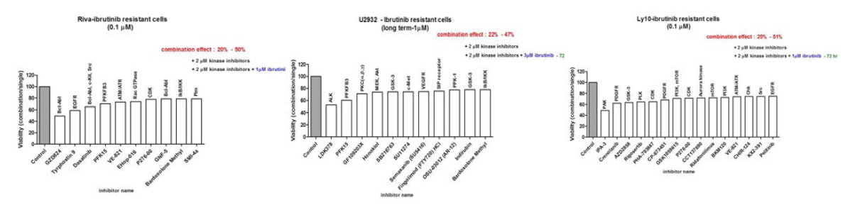 Ibrutinib 내성 세포주에서 kinase inhibitory library를 통해 효과적인 약제 탐색