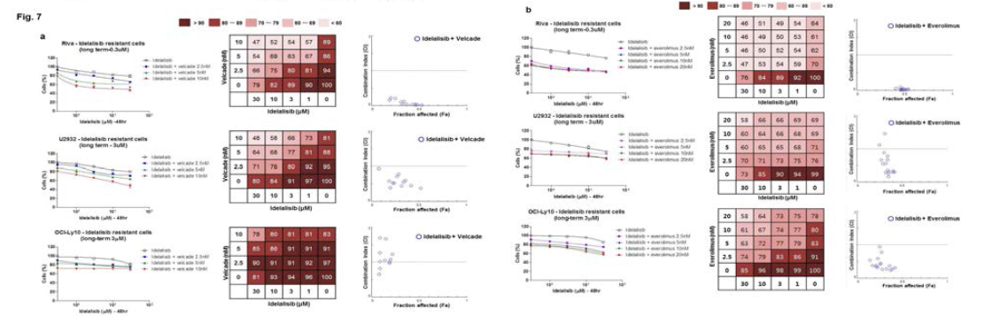 Idelalisib 획득 내성 세포주에서 idelalisib (a) 과 velcade (b) 또는 everolimus 약제 병합 효과 확인